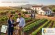 🏡🌿📊 ¿CUÁNTO VALE REALMENTE TU FINCA?